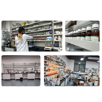 Halal Certified Sweet Corn Flavor for Snacks and Bakery